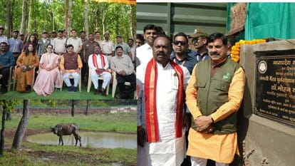 सीएम मोहन यादव ने जंगली भैंसे रिलीज किए