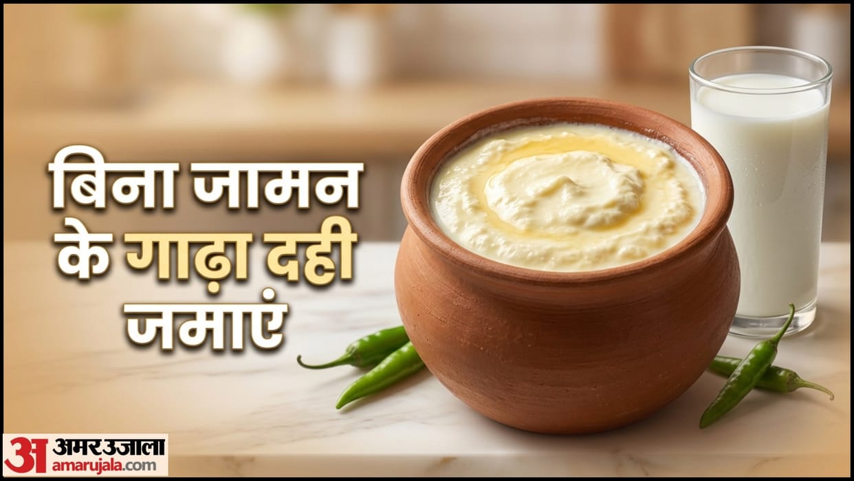 How To Make Thick Curd Without Starter Bina Jaman Dahi Kaise Jamaye