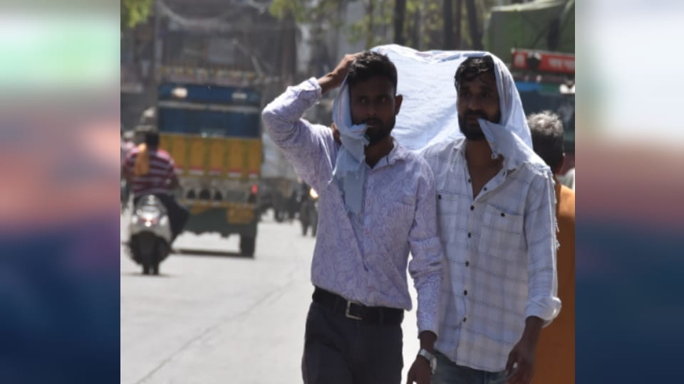 Meerut Heatwave Alert: Severe Heat to Continue for 72 Hours, Storm Disrupts Power Supply