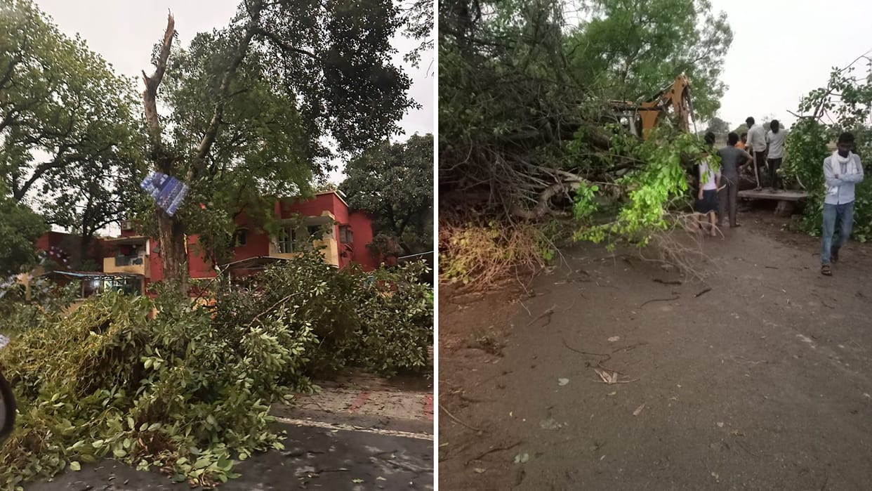Electricity Crisis Tree Branch Falls on Power Lines City Plunged into Darkness for Two Hours in varanasi