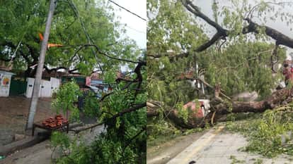 UP: Storm and Rain Throw Capital's Infrastructure into Chaos; 100 Poles and Wires Snapped, Power Outage; Resid