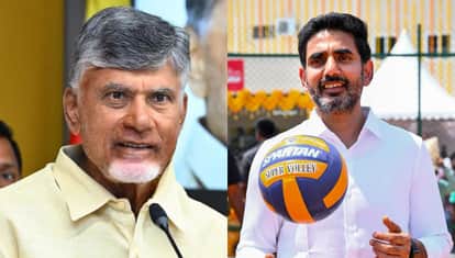 TDP forms new executive committees, Lokesh assumes charge as working prez News In Hindi