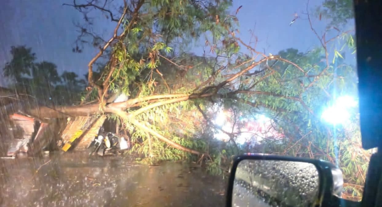 Storm and Heavy Rain Wreak Havoc Tree Fall Blocks Darbhanga–Samastipur Highway