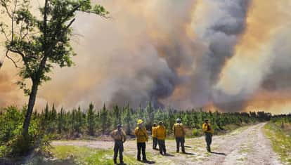 Georgia wildfires People forced to flee their homes rain ineffective more than 50 square miles burned to ashes