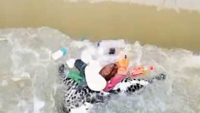 Leopard body found floating in canal in Pilibhit