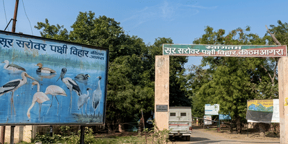 सूर सरोवर पक्षी विहार