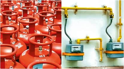 West Asia crisis: Challenges remain, structural weaknesses must be addressed