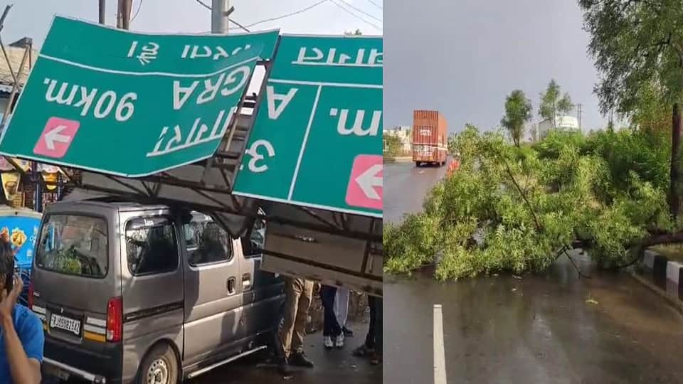 आंधी से गिरे पेड़ और साइन कोर्ड।