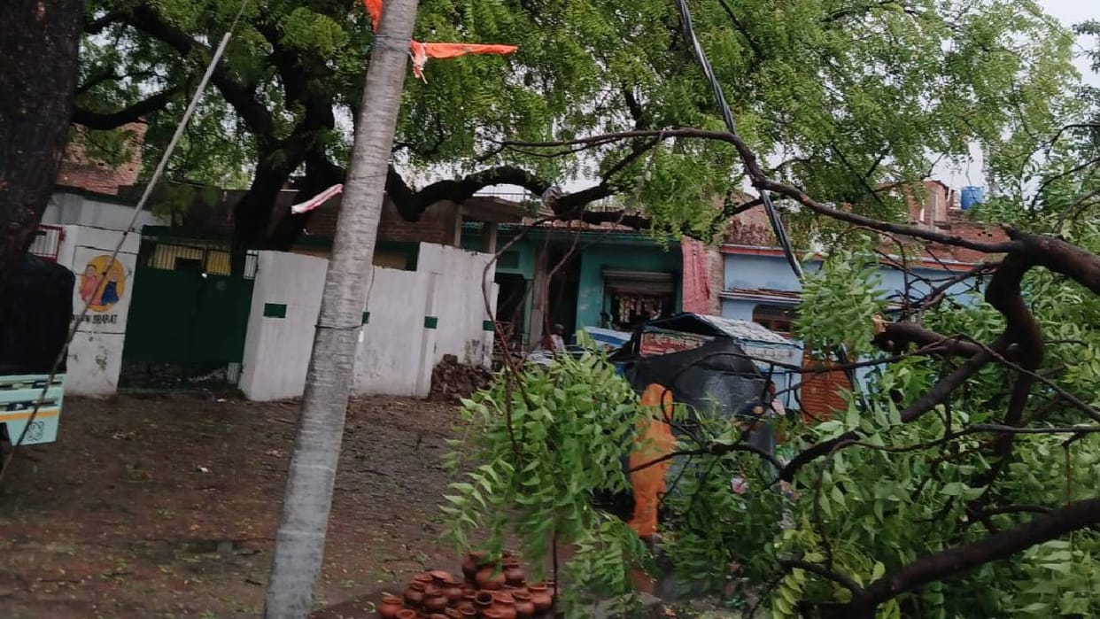 UP Storm Wreaks Havoc in Lucknow; Two Cancer Hospital Employees Trapped Under Fallen Tree, Kept Crying Out fo
