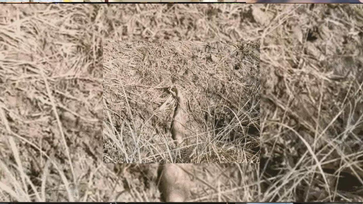 The bodies could not be identified, there is a possibility of destruction of evidence after the murder.