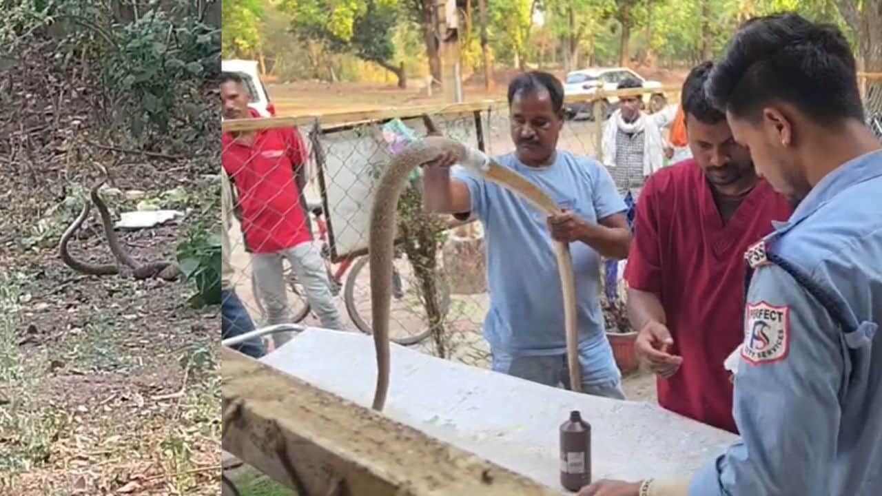 जिला अस्पताल में हुआ इलाज