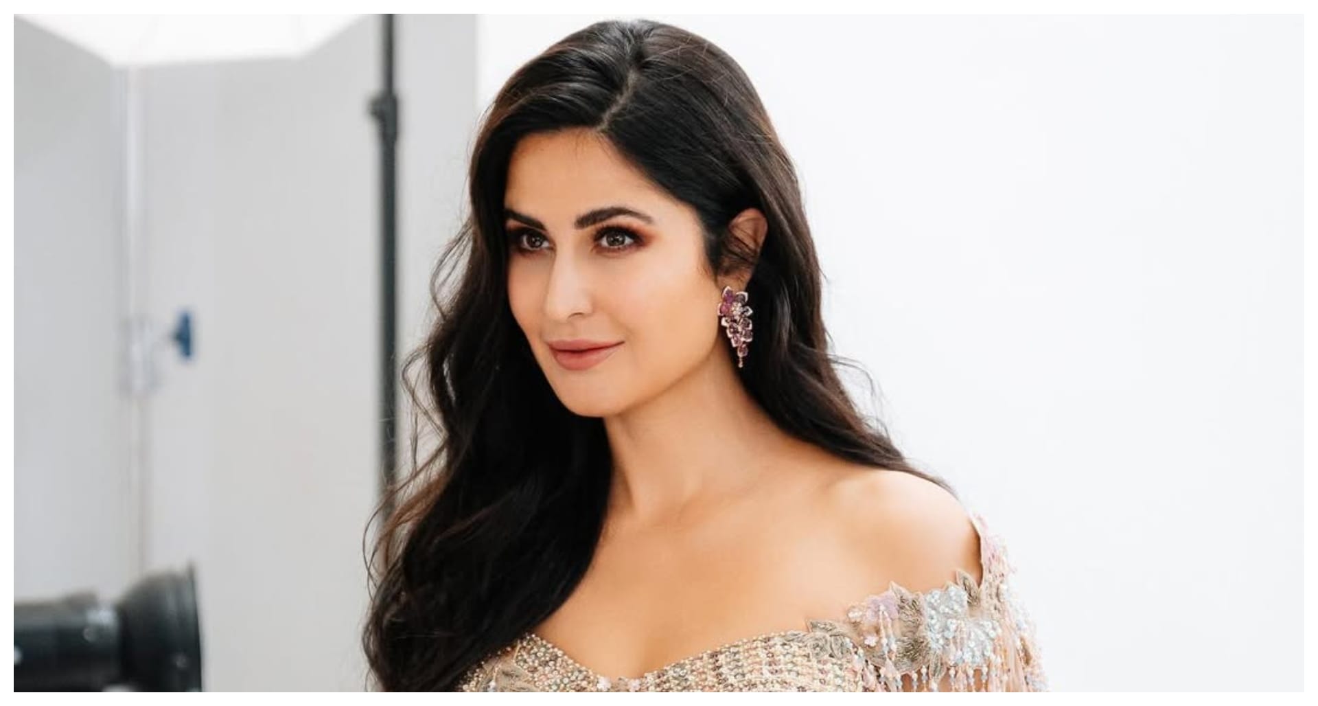 Katrina Kaif about To come back with Chandni Bar 2 Alongside Tabu know the details