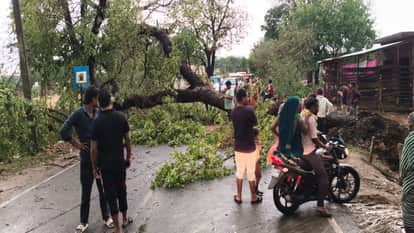 Trees uprooted in the storm, unipoles and electric wires broken, strong winds created havoc.