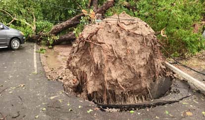 Trees uprooted in the storm, unipoles and electric wires broken, strong winds created havoc.