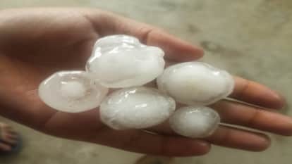 Trees uprooted in the storm, unipoles and electric wires broken, strong winds created havoc.