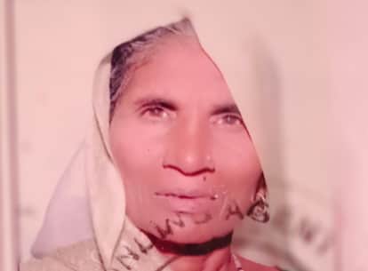 Elderly Woman Dies After Being Crushed Under Tree Felled by Storm in Khurja