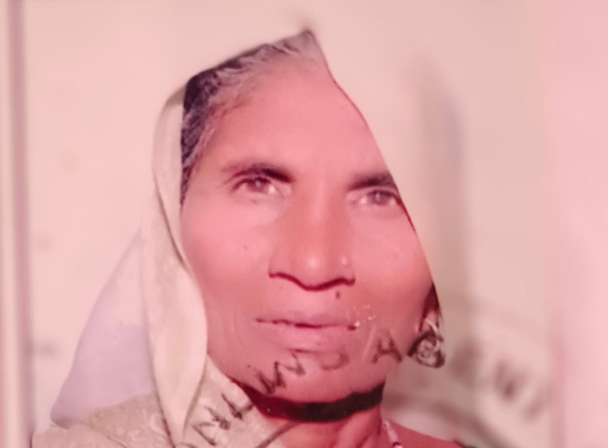 Elderly Woman Dies After Being Crushed Under Tree Felled by Storm in Khurja