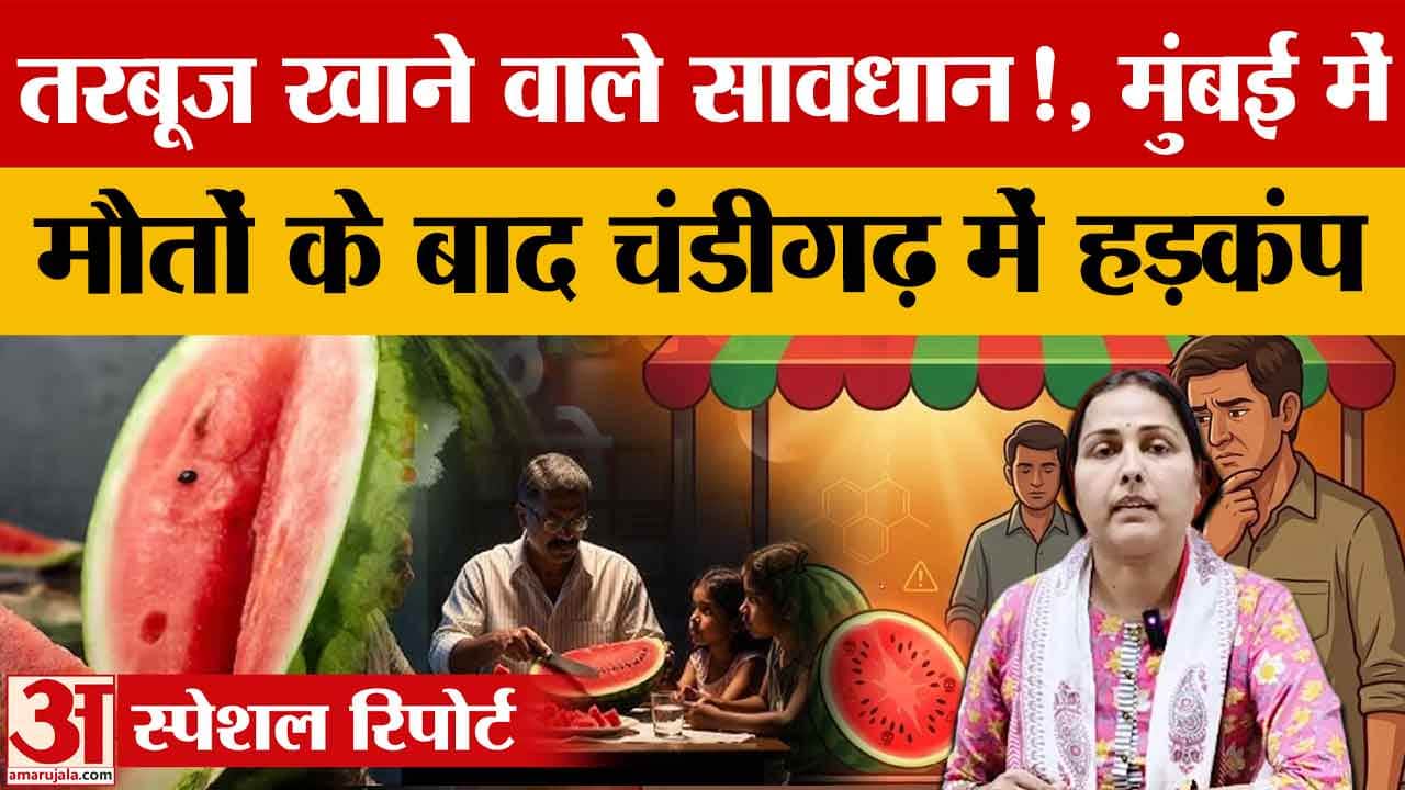 चंडीगढ़ में तरबूज की जांच तेज, 11 सैंपल लिए; स्वास्थ्य विभाग की एडवाइजरी जारी
