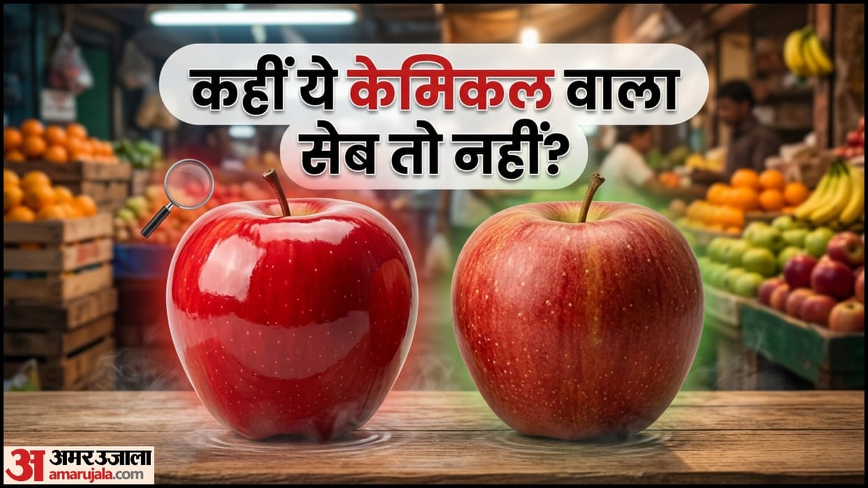 Apple Buying Tips Apple Real Vs Chemical Identification How To Check Wax Apple At Home