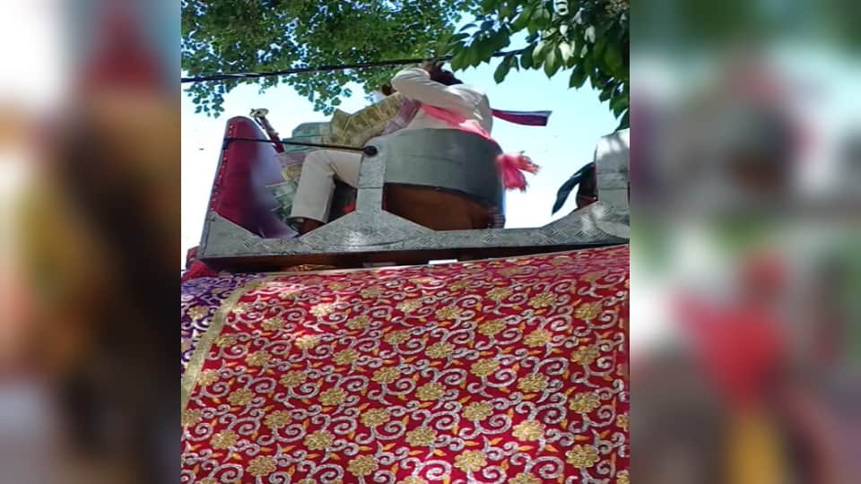 Meerut Wedding: Groom Ankit Rides Elephant for Baraat, Rare Scene After 75 Years