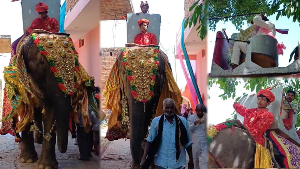 Meerut Wedding: Groom Ankit Rides Elephant for Baraat, Rare Scene After 75 Years