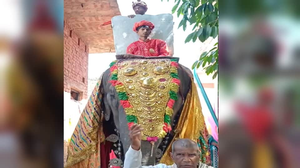 Meerut Wedding: Groom Ankit Rides Elephant for Baraat, Rare Scene After 75 Years