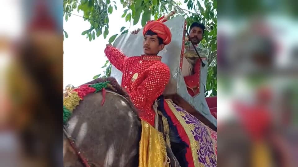Meerut Wedding: Groom Ankit Rides Elephant for Baraat, Rare Scene After 75 Years