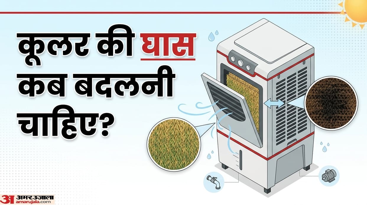 How often should the grass in the cooler be replaced cooler ki ghans kitne time mein badl deni chahaiye