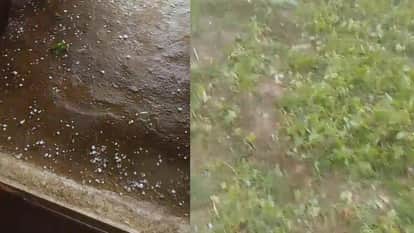 Lalitpur: The weather suddenly changed, with strong winds, rain, and hailstorms devastating crops.