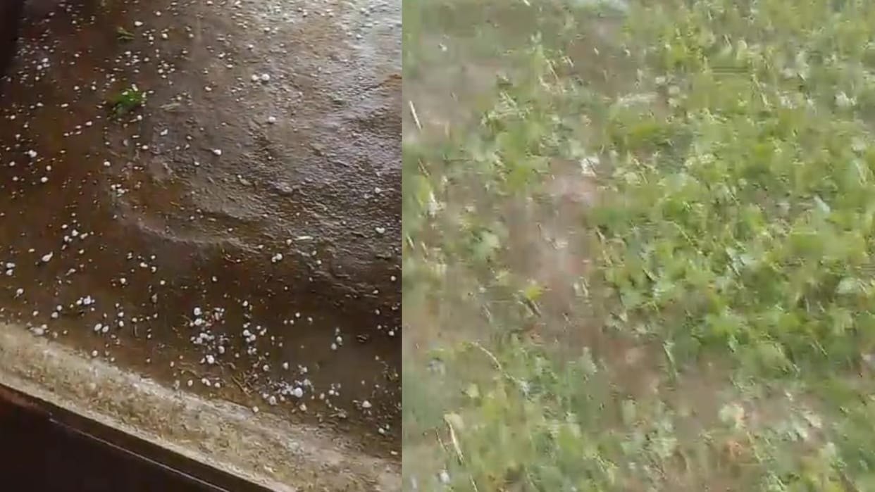 Lalitpur: The weather suddenly changed, with strong winds, rain, and hailstorms devastating crops.