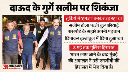 सलीम डोला।