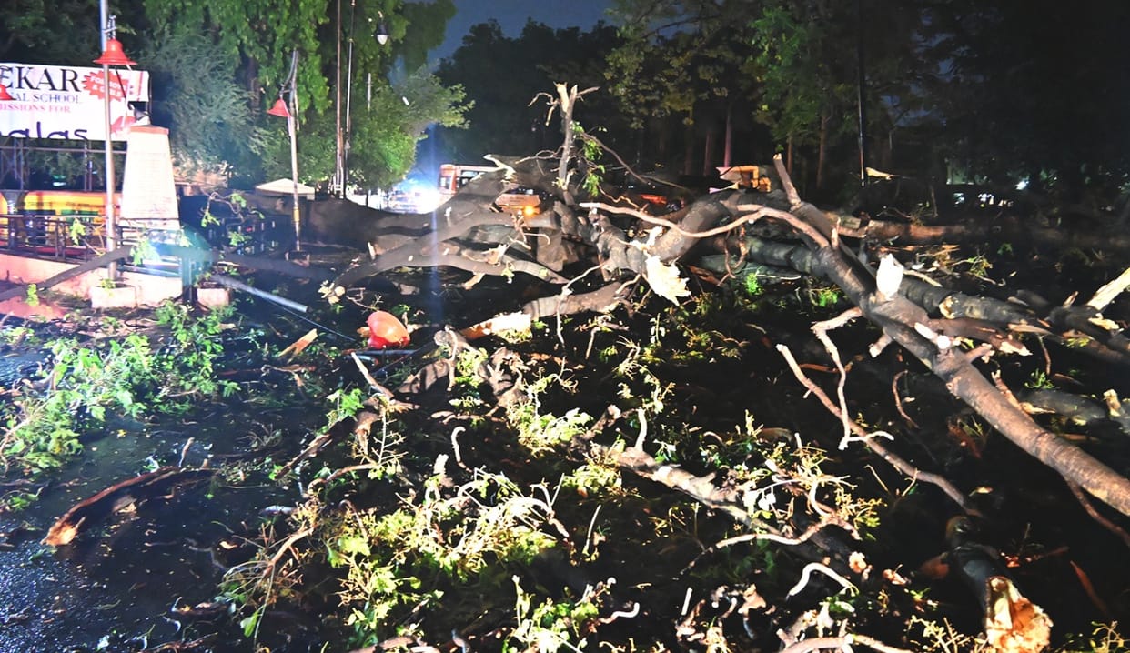 Rain brought relief in Bareilly but storms caused havoc bringing down trees and walls in Bareilly
