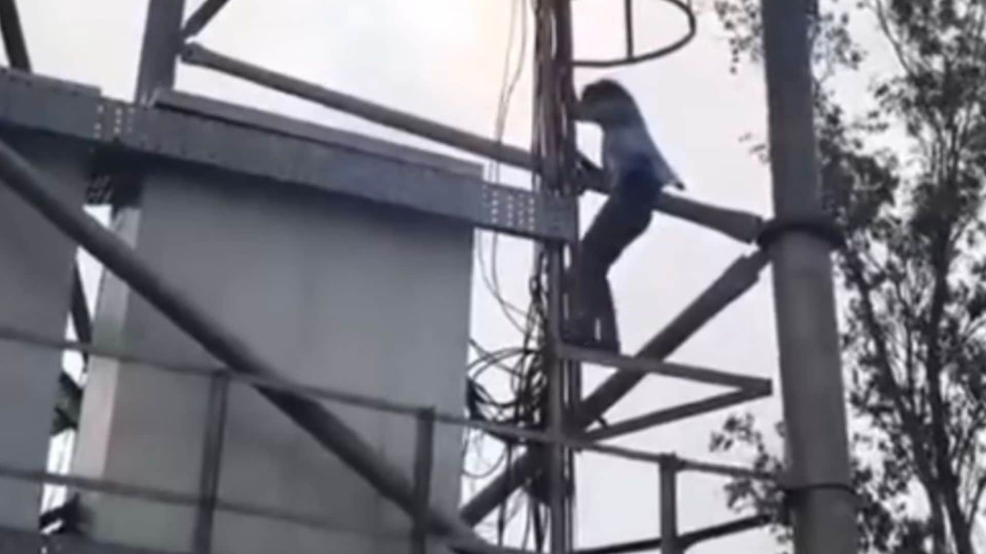 आश्वासन देकर नीचे उतारी गई युवती।