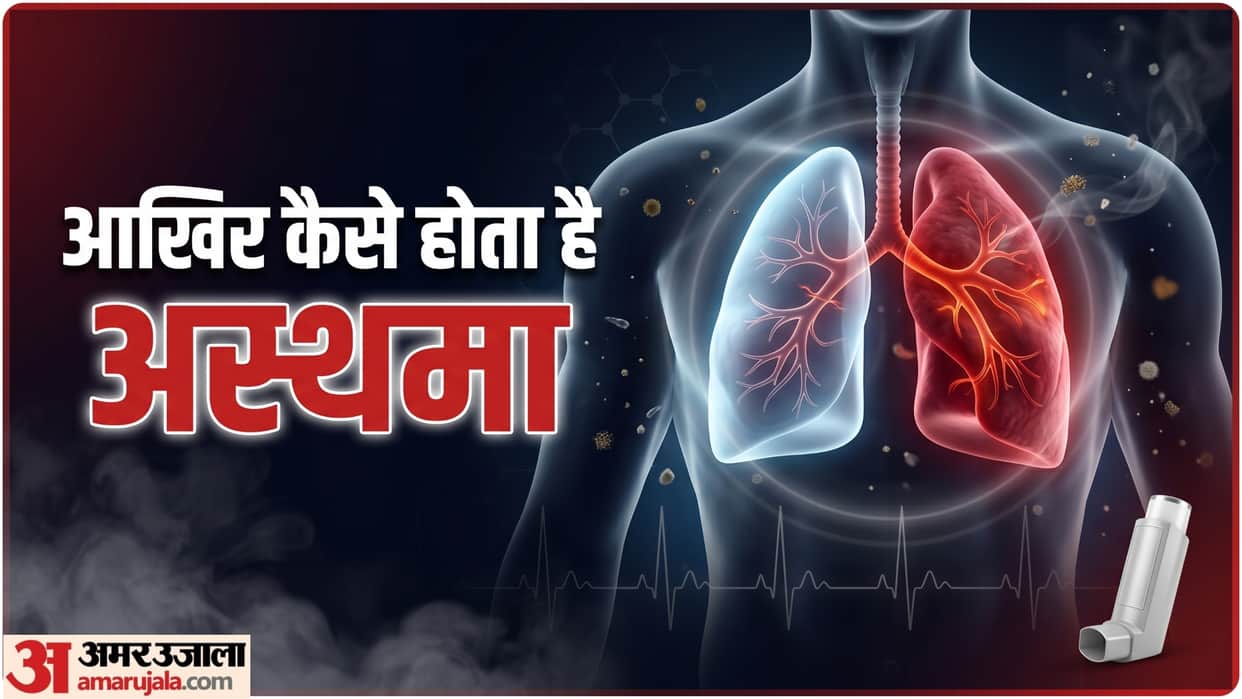 world asthma day 2026 Root Cause and Risk Factors of asthma kyu hota hai