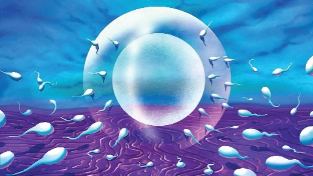 New Hope for Infertile Men AI Technology Discovers Hidden Sperm fertility innovation