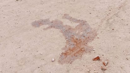 Jaimala Ceremony Wedding Youth Is Shot Dead Festivities Turn into Mourning in mirzapur