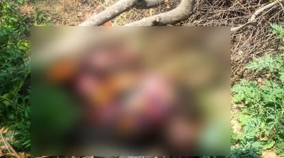 Jalaun Decomposed Unidentified Body Found Along Highway Maggots Crawling on the Corpse