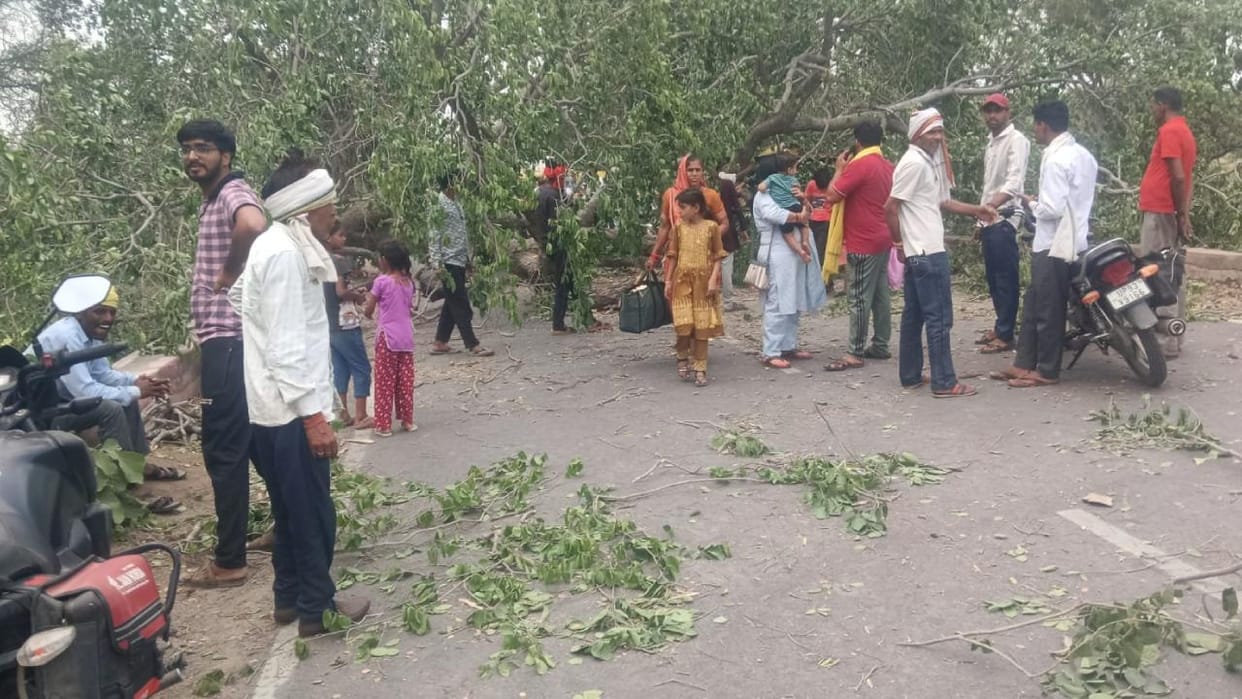 Jhansi: A huge old tree fell on the road near Khailar due to storm, taxi got hit, two injured.