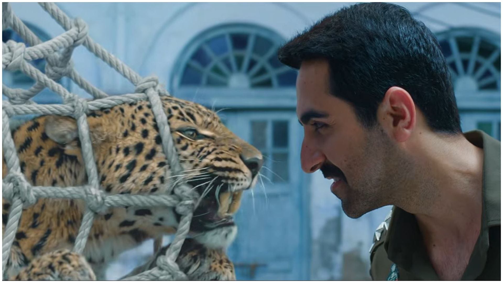 Pati Patni Aur Woh Do Box Office Collection Day 7 Ayushmann Khurrana Mudassar Aziz movie