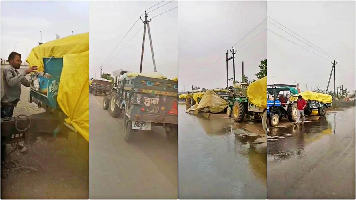Sehore News: Wheat Soaked at Procurement Centers in Ichhawar Due to Storm and Rain; Produce Ruined
