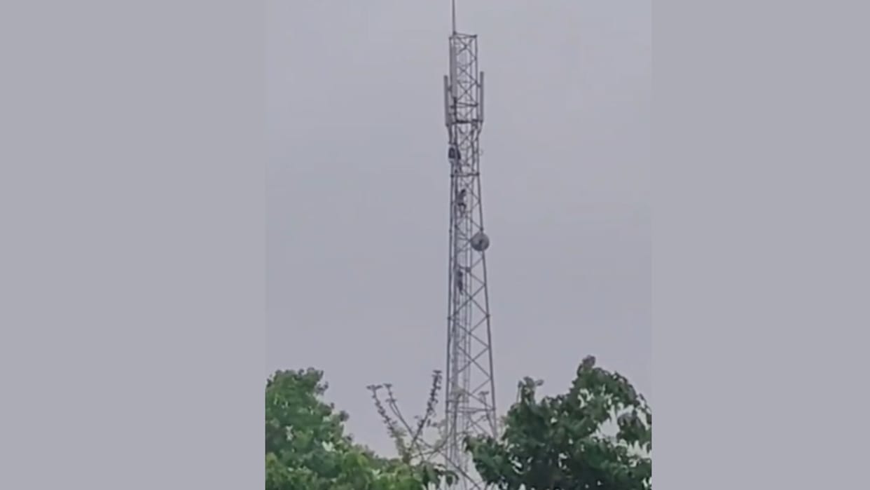 Girlfriend climbs mobile tower insisting that her lover be summoned in Ballia