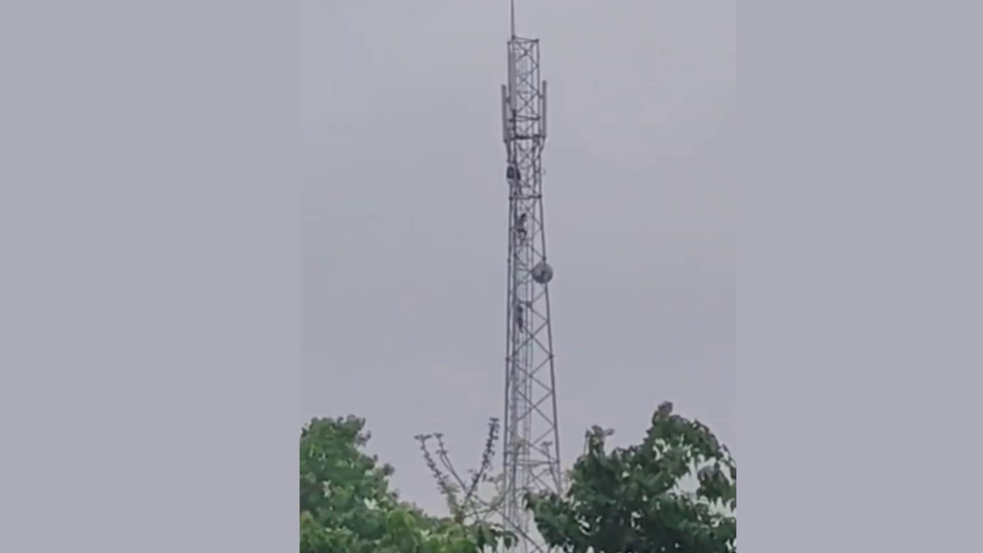 टावर पर चढ़ी प्रेमिका