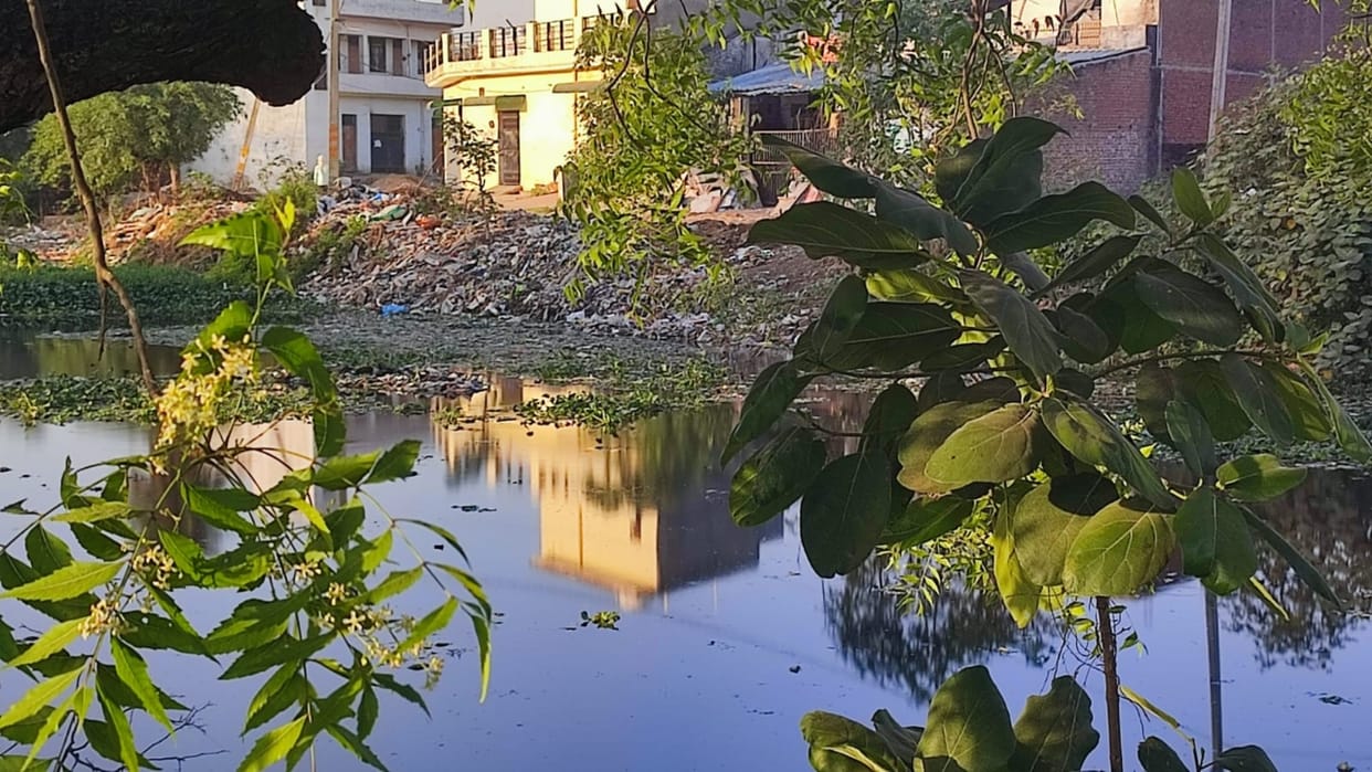 Multi-Drug Resistant E coli Bacteria Found in Dohra Pond in Bareilly