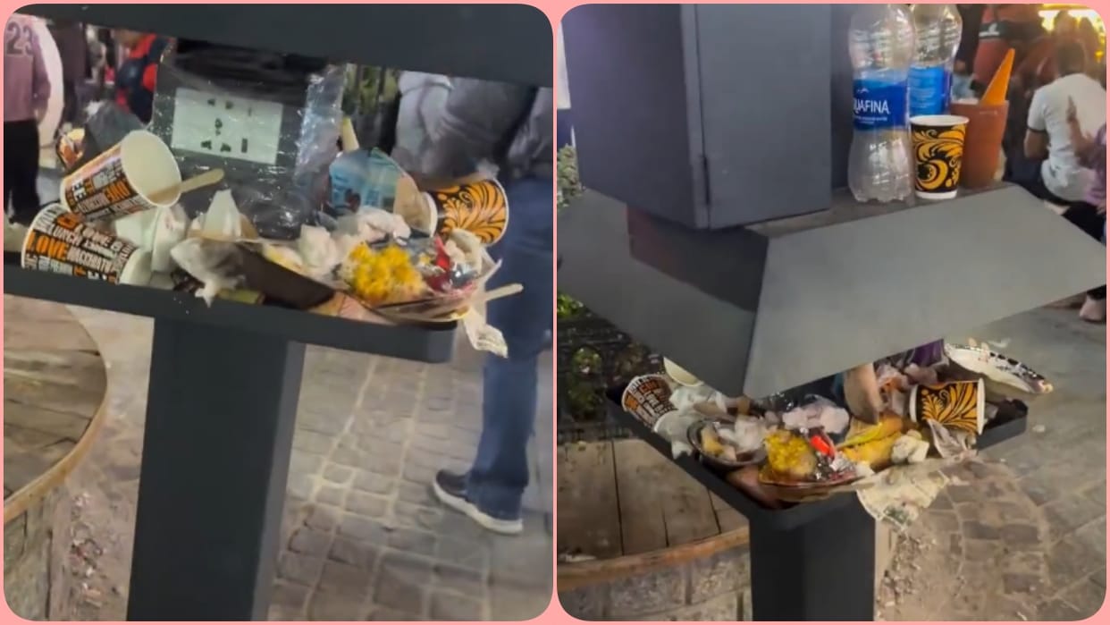 Manali viral video people have turned a charging point into a dustbin