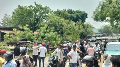 Five Poles Snapped After Tree Falls Chaos in Pindra 50 Families Without Electricity for 72 Hours