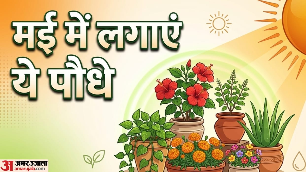 which plants grow fast in summer season garmi me kaun sa paudha lagana chahiye