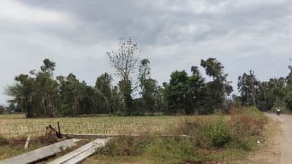 Bijnor: Storm and rain wreak havoc, more than 100 pillars broken, power cut for 16 hours in 70 villages