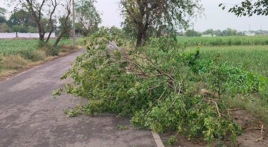 Baghpat: Farmer dies due to lightning, 65 pillars broken due to rain and storm, lights in 150 villages go off