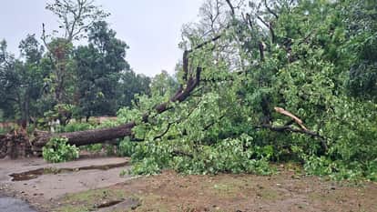 Bijnor: Storm and rain wreak havoc, more than 100 pillars broken, power cut for 16 hours in 70 villages