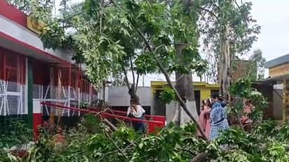 Bijnor: Tree Falls on Government School Building in Storm, Roof Lintel Develops Crack